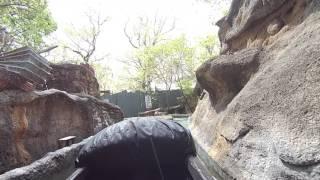 American Plunge log flume ride Silver Dollar City POV