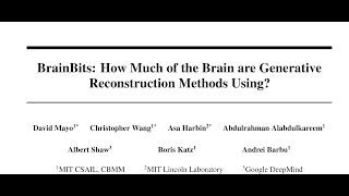 BrainBits: How Much of the Brain are Generative Reconstruction Methods Using?