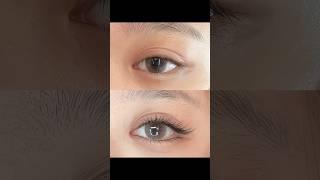 Can you see the difference? #eyelashextensions #eyelinertutorial #eyemakeup #睫毛嫁接 #嫁接睫毛