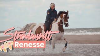 MIT DEN PONYS ZUM STRAND NACH RENESSE! - TEIL 1 // ASKINO CONSAS