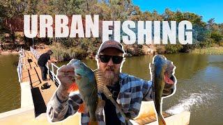 Urban Perch Fishing | From The Bridge To The Weir