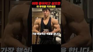 어깨 디테일은 측후면 삼각근