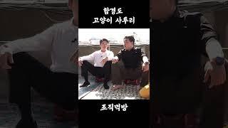 북한 뚱냥이