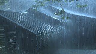 Falling Asleep with Torrential Rain & Thunder Reverberated on Dull Corrugated Iron Roof at Night