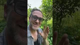 Grow FOOD without Work? IMPOSSIBLE! Unless you’re Mother Nature!