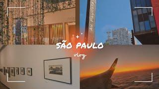 são paulo vlog ️ museu, parque ibirapuera, avenida paulista, shopping e cinema