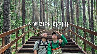 냉대기후 침엽수림 산림의 보고 시베리아 타이가숲 8시간 트래킹