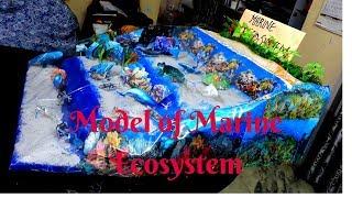 Model of Marine Ecosystem