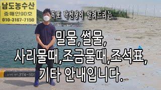 바다정보(밀물,썰물,사리물때,조금물때,조석표 보는법,기타) 안내 입니다. (목포 남도농수산 탁선장 010 3167 7150)