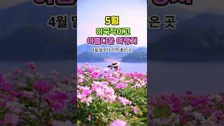 이국적이고 아름다운 5월여행지 추천 | 5월에 가볼만한곳,4월 여행지 추천,5월 여행지,봄꽃 여행지,작약꽃,이팝나무,핫들생태공원,금강수목원,천북폐목장,국내여행지 추천,봄여행지 추천