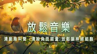 超好听的钢琴曲 早上最適合聽的輕音樂 - 高品質放鬆音樂 ,清脆鳥叫聲 ,清除負面能量,放鬆腦神經細胞