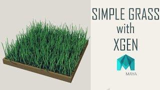 Maya Simple Xgen Grass ~ 3D Tutorial