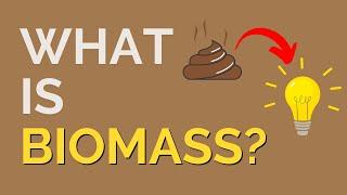 What is Biomass?