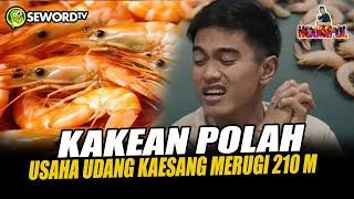 Begawan: WALAAAH.. USAHA UDANG KAESANG RUGI BANDAR SAMPAI 210M? #721