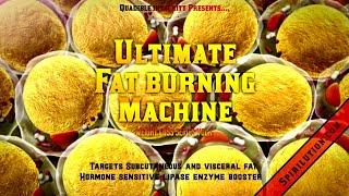 The Ultimate Fat Burning Machine