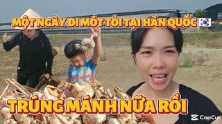 452 MỘT NGÀY ĐI MÓT TỎI TẠI HÀN QUỐC LẠI TRÚNG MÁNH NỮA.