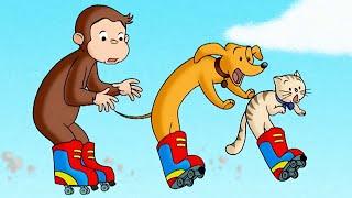 Georges le Petit Singe  Hundley et George vont faire du roller ! Dessin Animé