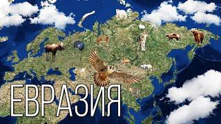 Материк Евразия: Крупнейший на Планете Земля | Интересные факты про континент Евразия