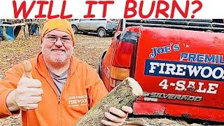 FIREWOOD - is limb wood firewood considered to be “premium firewood?”