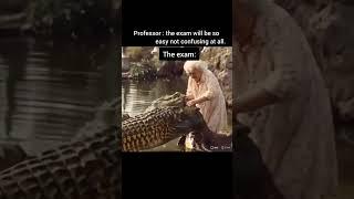 Funny Relatable Memes