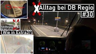 Sonstiger Alltag bei DB Regio #30 | Neuer Bahnübergang für den Feldweg, Verhalten bei Fotografen