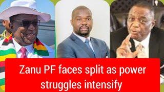 Drama as youth league bosses publicly fight in latest Zanu PF Succession battle