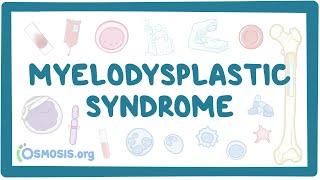 Myelodysplastic syndromes - causes, symptoms, diagnosis, treatment, pathology