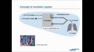 How does a Ventilator Work?