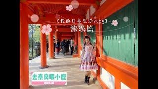 【我的日本生活vlog  03】旅游篇——去奈良喂小鹿~