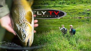 FLY TV - Mit der Trockenfliege auf Bachforellen in Norwegen