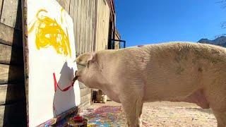 Pigcasso The Painting Pig Paints Boris Johnson