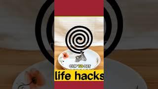 another practical life hacks #shorts #hacks #diy #reallifehacks #lifeadvice #automobile #secrethacks