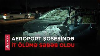 Bakıda beş avtomobil toqquşub, ölən var – APA TV