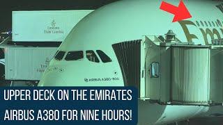 Emirates A380 in Economy Class on the Upper Deck from Dubai to Bali [Emirates Airbus A380] [DXB-DPS]