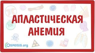 Апластическая анемия — причины, симптомы, патогенез, диагностика, лечение