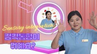 쉽게 이해하는 감통 정의 | 아동작업치료사 | 부모님들 필수시청 | SI