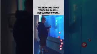 THE SIGN SAYS DON'T TOUCH THE GLASS... BUT CURIOSITY WON. #curiosity #fail #glass #danger #funny