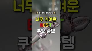 친구가 우리집 와서 탐낸 쿠팡 꿀템