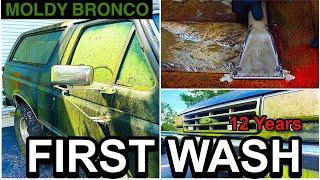 Disaster Barnyard Find | Extremely Moldy Bronco | First Wash In 12 Years | Car Detailing Restoration