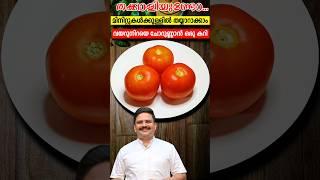 തക്കാളി കൊണ്ട് പെട്ടെന്നൊരു ഒഴിച്ചു കറി | Easy Tomato Curry | #shorts #sajitherully #vegrecipe