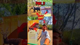 PART_2 | ZOO MAI YEH KYA THA  | #minivlog #shorts  #ankitbaiyanpuria