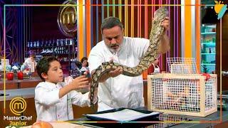 Ángel León y su hijo cocinan con una morena gigante  | MasterChef Junior 11