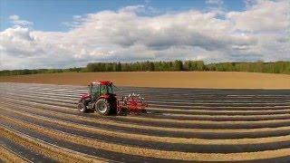 Kile augustamine maasikataimede istutamiseks || Planting hole puncher for strawberry beds