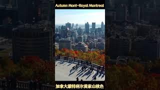 黄家山秋日 加拿大蒙特利尔 Mont-Royal Autumn Montreal QC Canada