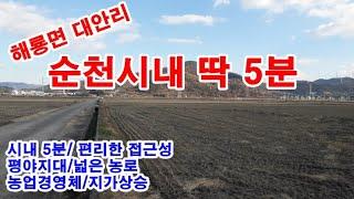 순천시 토지 4억2천5백만원 / 해룡면 대안리 , 순천시내 5분거리로 접근성 좋은 논 4,000㎡(약1,210)