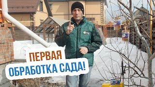 Весенняя обработка сада.  Борьба с БОЛЕЗНЯМИ сада весной
