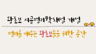 왕초보 시공명리학 채널개설
