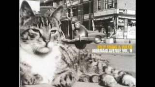 All you Fascists - Billy Bragg and Wilco