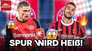 WIRTZ doch zum FC BAYERN? SPUR zu HERNANDEZ wird HEISS! BRANDT in die PL?