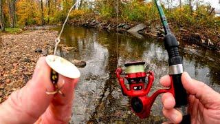 Trout Fishing with #2 Panther Martin spinner